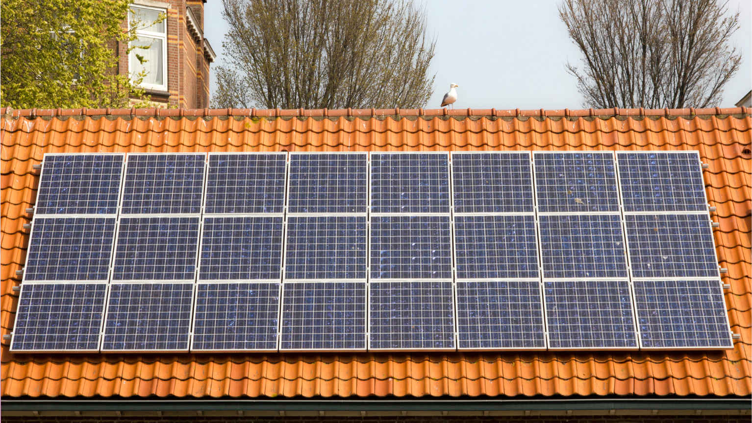 solar panel installed on a roof